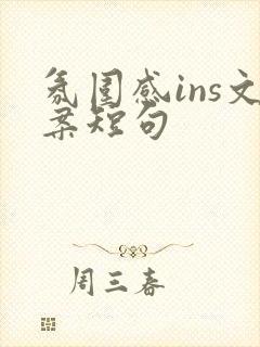 氛围感ins文案短句