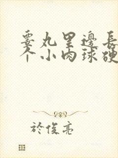 睾丸里边长了一个小肉球硬硬的