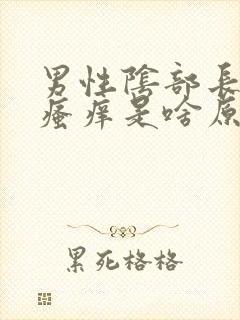 男性阴部长疙瘩瘙痒是啥原因