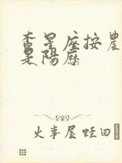 查星座按农历还是阳历