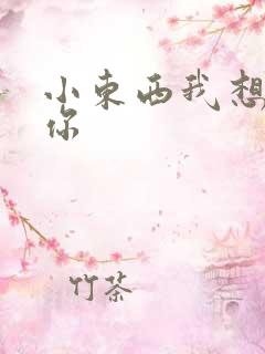 小东西我想弄坏你