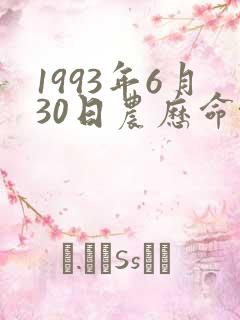 1993年6月30日农历命格