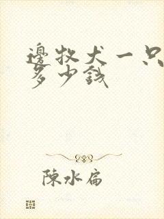 边牧犬一只小狗多少钱