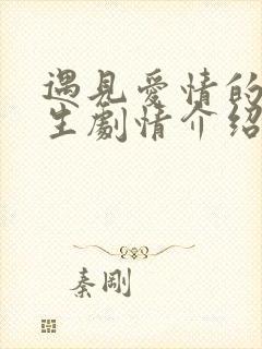 遇见爱情的利先生剧情介绍全集