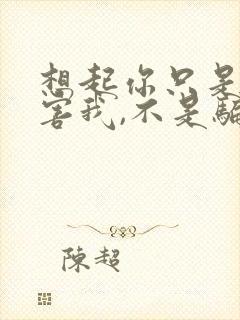 想起你只是怕伤害我,不是骗我是什么歌