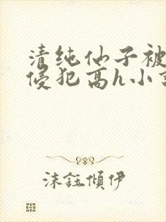 清纯仙子被强行侵犯高h小说小说