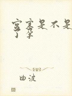 宫寒是不是怀不了孕