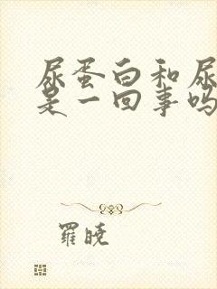 尿蛋白和尿酸高是一回事吗