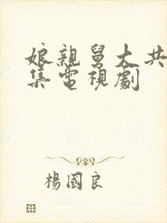 娘亲舅大共多少集电视剧