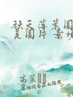 秋天落叶图片唯美图片 意境