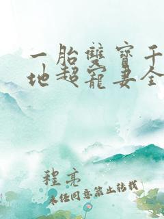 一胎双宝千亿爹地超宠妻全集免费