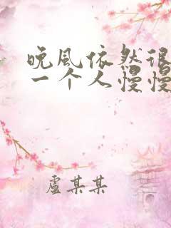 晚风依然很温柔一个人慢慢走歌名