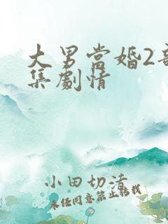 大男当婚2部全集剧情