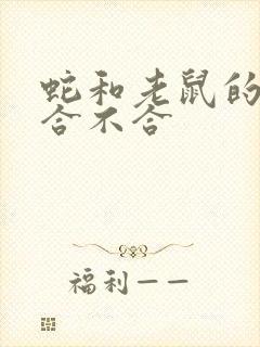 蛇和老鼠的属相合不合