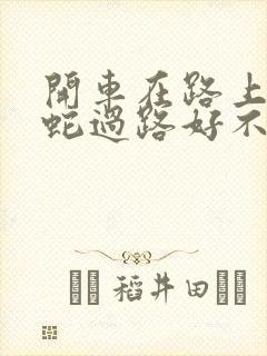 开车在路上遇到蛇过路好不好