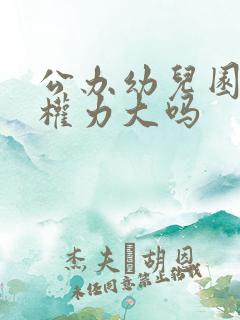 公办幼儿园园长权力大吗