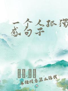 一个人孤独的伤感句子