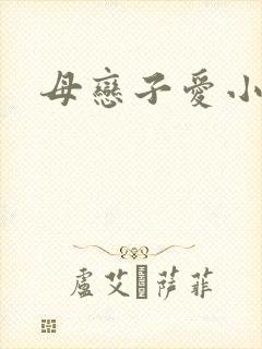 母恋子爱小说续