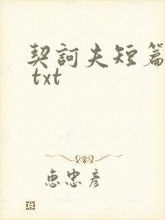 契诃夫短篇小说 txt