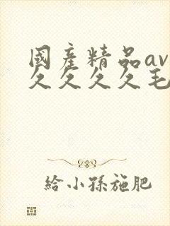 国产精品av久久久久久毛片