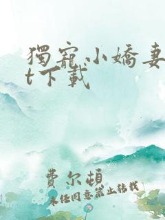 独宠小娇妻txt下载