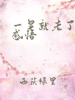 一晃就老了人生感悟