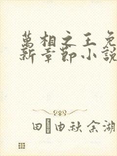 万相之王免费最新章节小说在线阅读