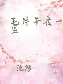 毛片午夜一区二区