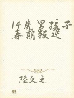 14岁男孩子青春期叛逆