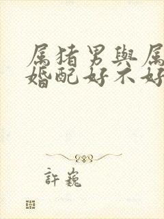 属猪男与属龙女婚配好不好