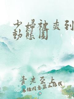 少妇被爽到高潮动态图