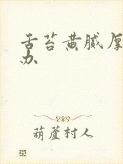 舌苔黄腻厚怎么办