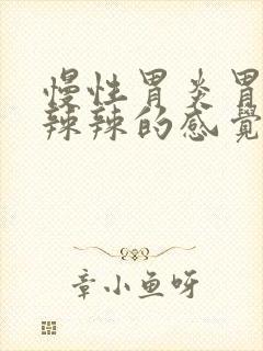 慢性胃炎胃里火辣辣的感觉