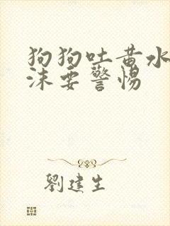 狗狗吐黄水带泡沫要警惕