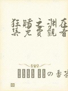 狂赌之渊在线全集免费观看