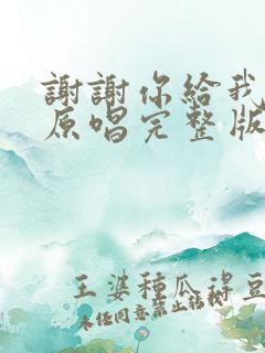 谢谢你给我的爱原唱完整版