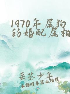 1970年属狗的婚配属相最好