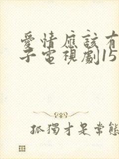 爱情应该有的样子电视剧15集