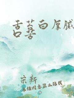 舌苔白厚腻口干口苦