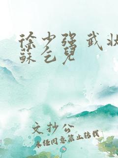 徐少强 武状元苏乞儿