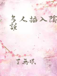 多人插入阴道小说