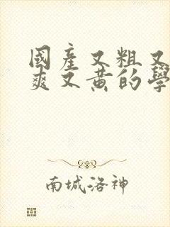 国产又粗又猛又爽又黄的学生视频