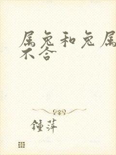 属兔和兔属相合不合