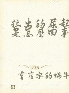 拉出的尿起泡泡是怎么回事