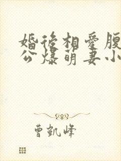 婚后相爱腹黑老公爆萌妻小说