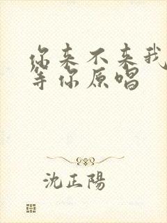 你来不来我都在等你原唱