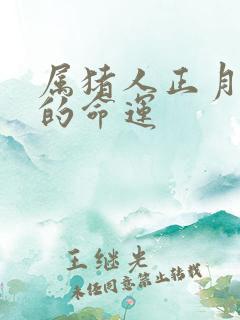 属猪人正月出生的命运