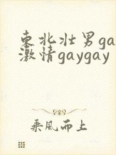 东北壮男gay激情gaygay