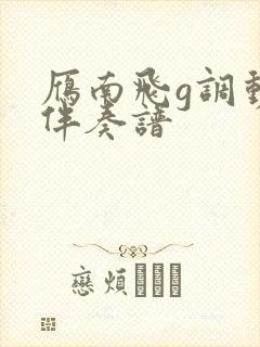 雁南飞g调动态伴奏谱