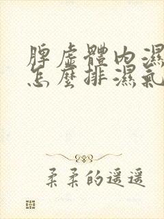 脾虚体内湿气重怎么排湿气